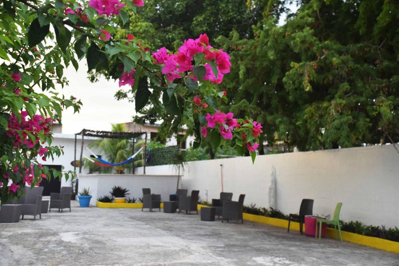 Hostal Casa Bohemia Mérida Kültér fotó