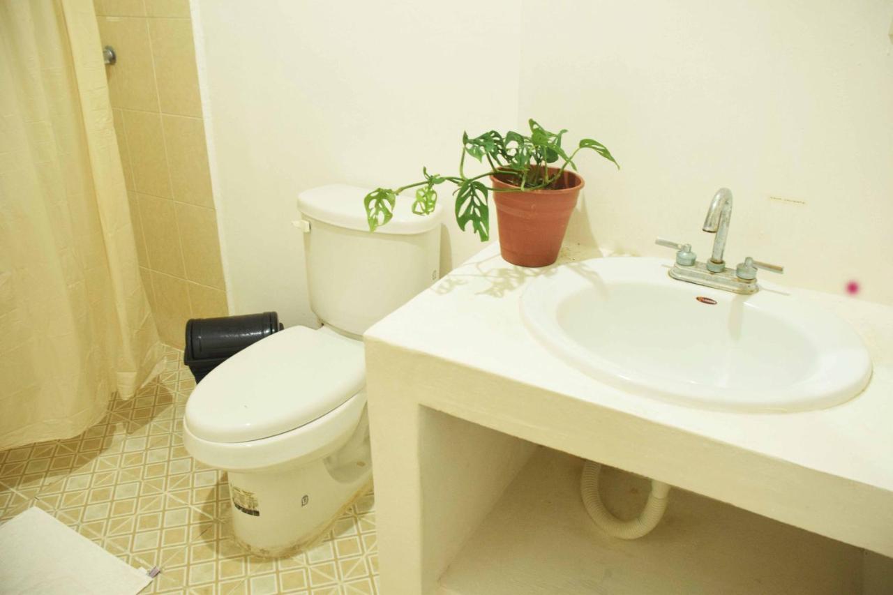 Hostal Casa Bohemia Mérida Kültér fotó