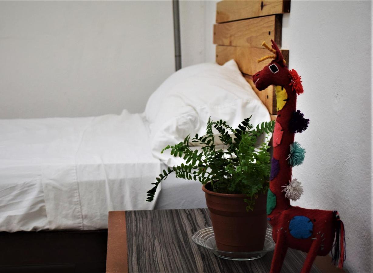 Hostal Casa Bohemia Mérida Kültér fotó